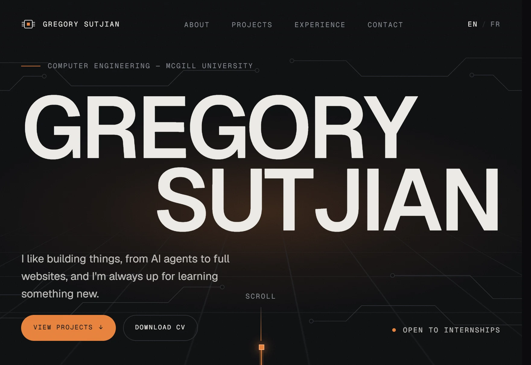 The opening screen of this website